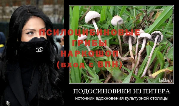 ПСИЛОЦИБИНОВЫЕ ГРИБЫ Ростов