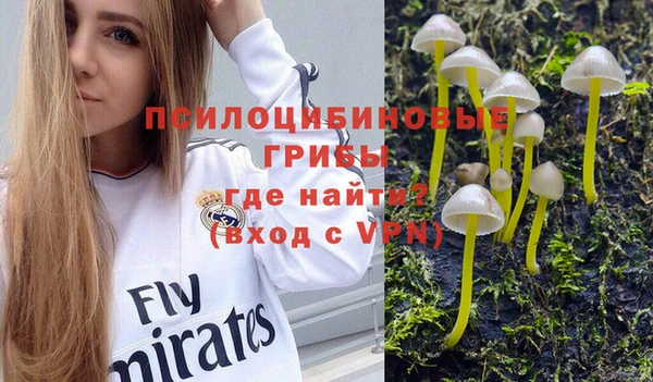 ПСИЛОЦИБИНОВЫЕ ГРИБЫ Ростов