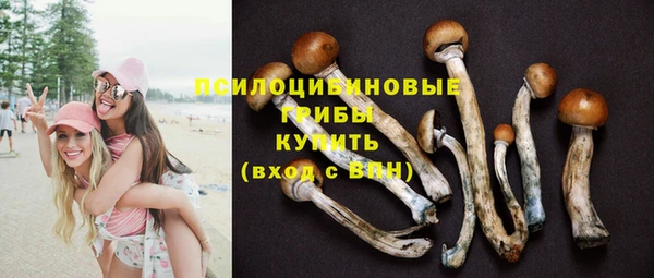 СК Рославль